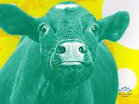 کاربردهای اینترنت اشیا (IoT) در کشاورزی: راهکاری برای آینده‌ای پایدار