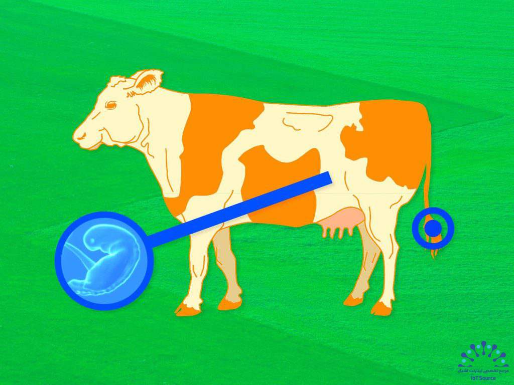 بهره‌برداری از قدرت اینترنت اشیاء (IoT) برای افزایش کارایی و ایجاد فضاهای کاری هوشمندتر